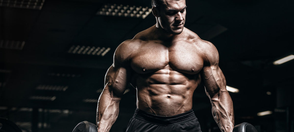 Can You Build Muscle with Vegan Protein?