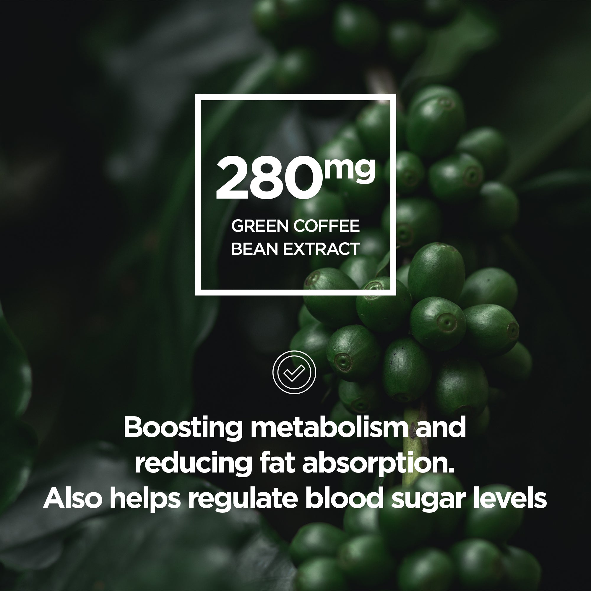 Tone Up + - Raw Sport