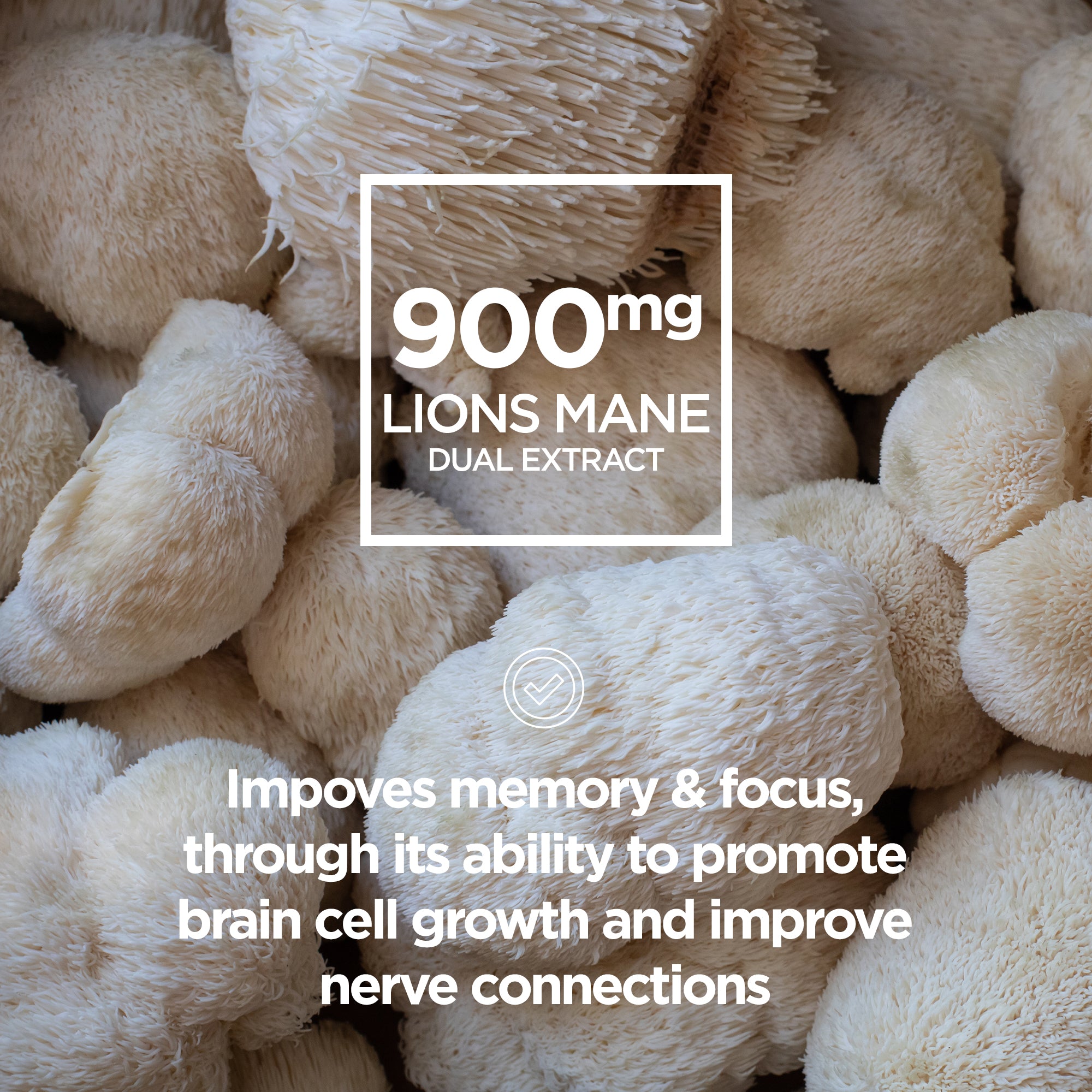 Brain Fuel Nootropic - Raw Sport