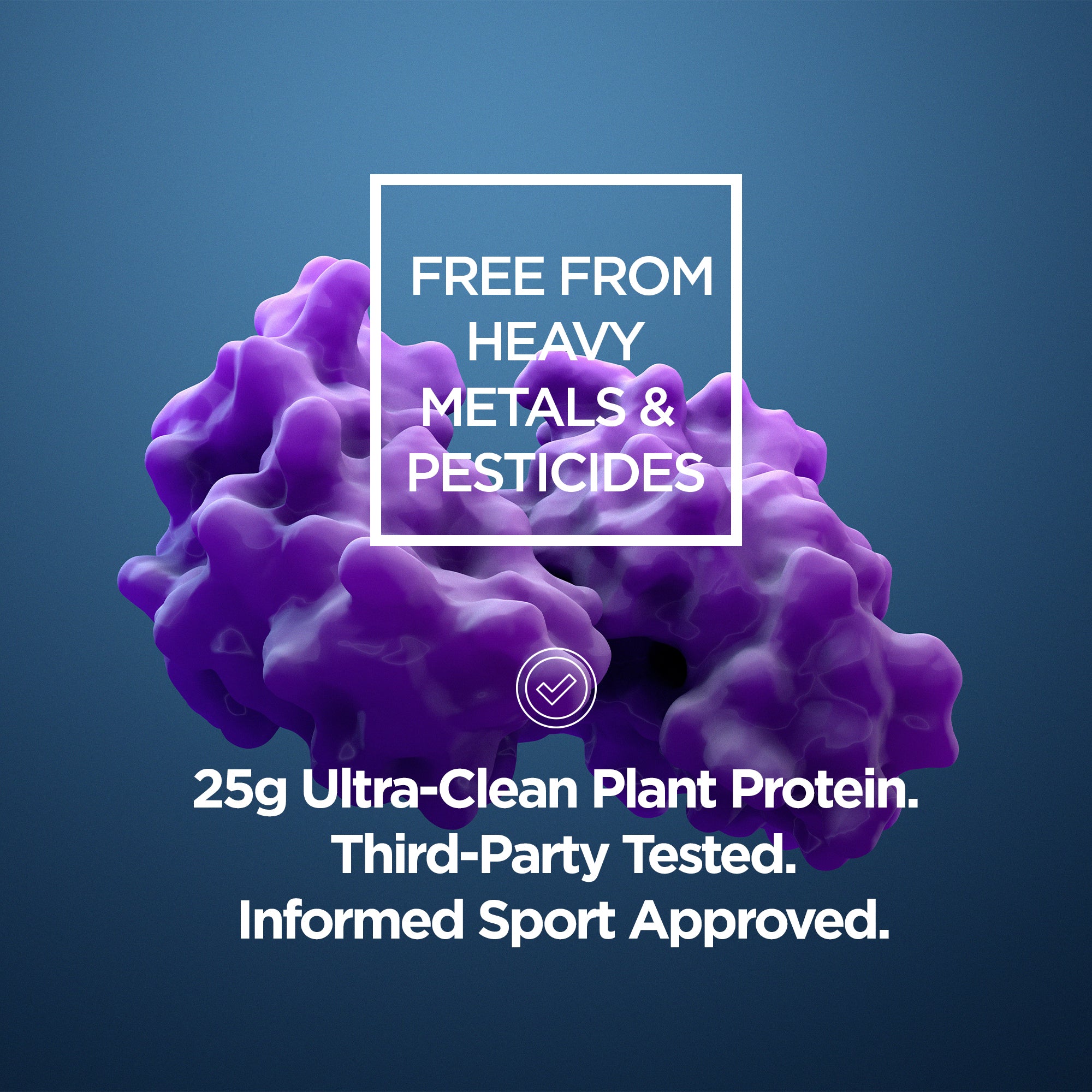 Mass Gainer | Plant Based Vegan - Raw Sport