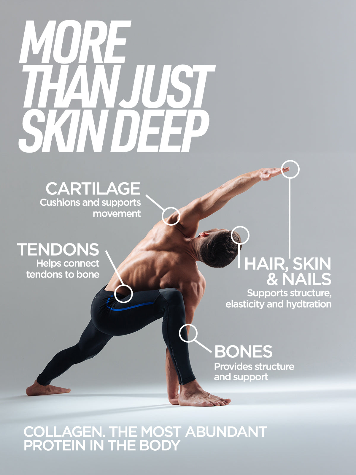 Collagen Peptide Protein Powder