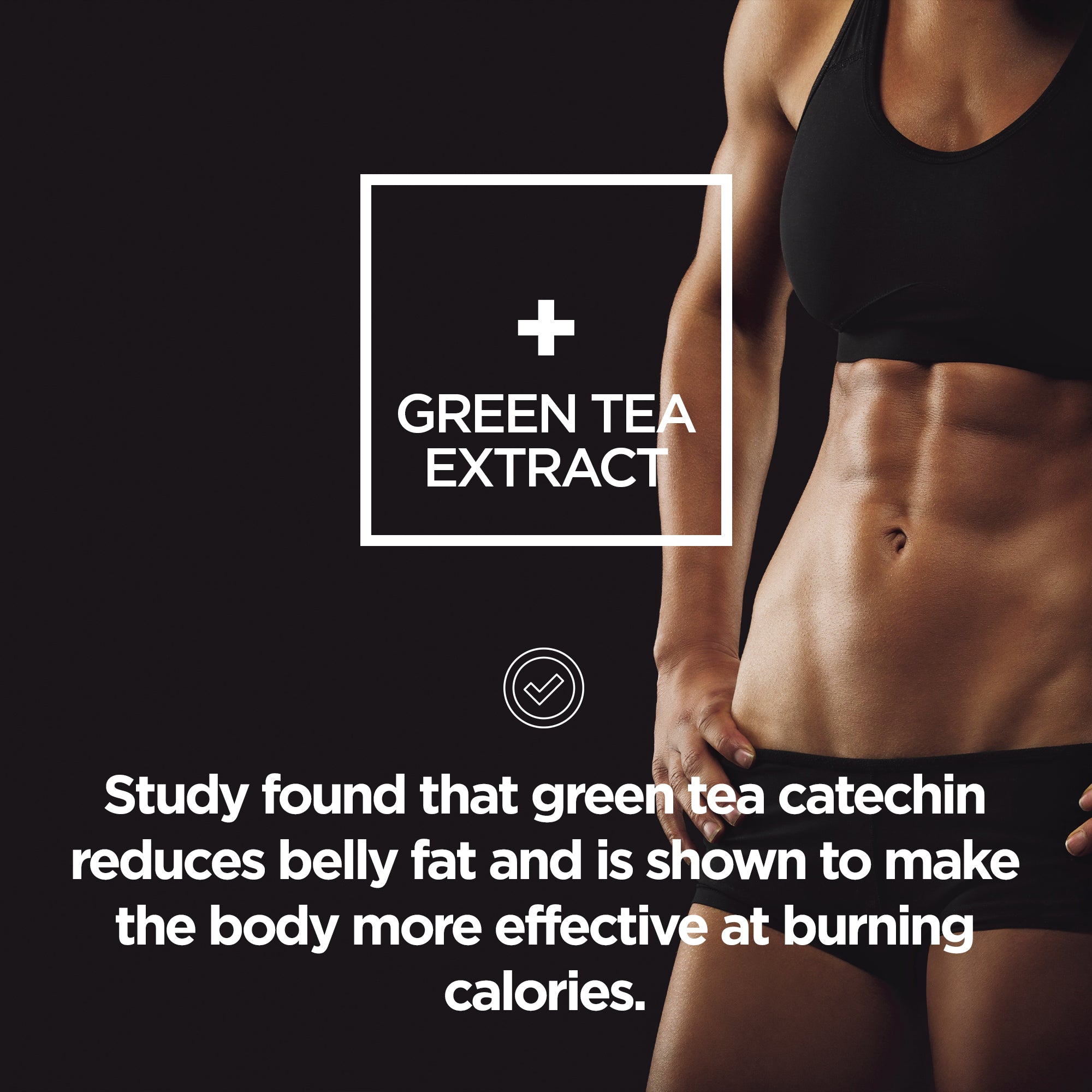 Diet Meal Protein (1KG) Powder - Raw Sport