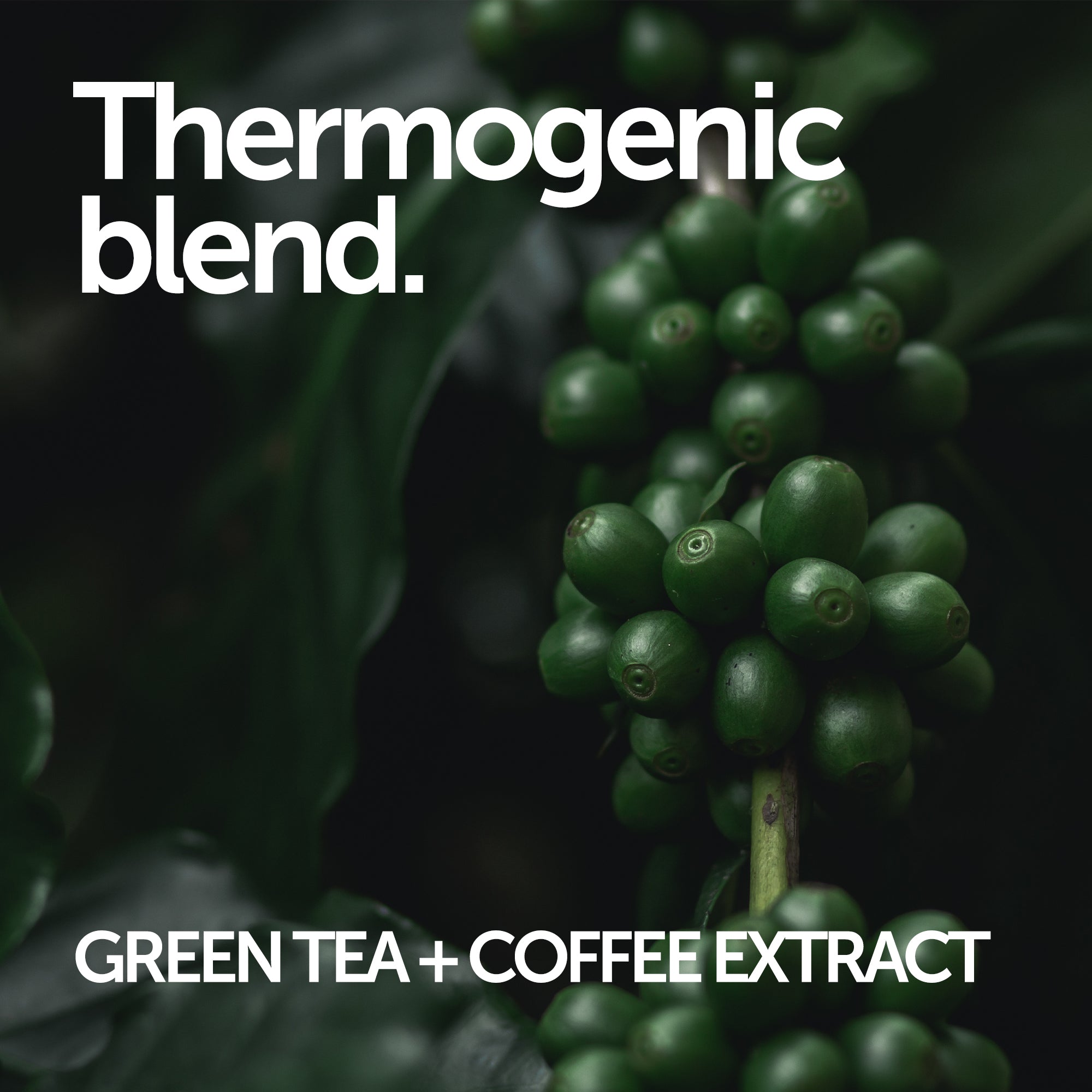 Tone Up + - Raw Sport